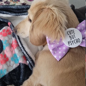 Whitney Dog Fucker